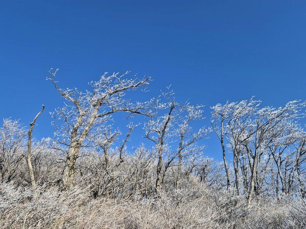 L'anxiété au travail : comment la repérer et la surmonter