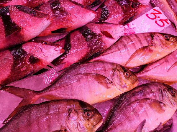 L'art du bien-être : Découvrez les secrets de la réflexologie